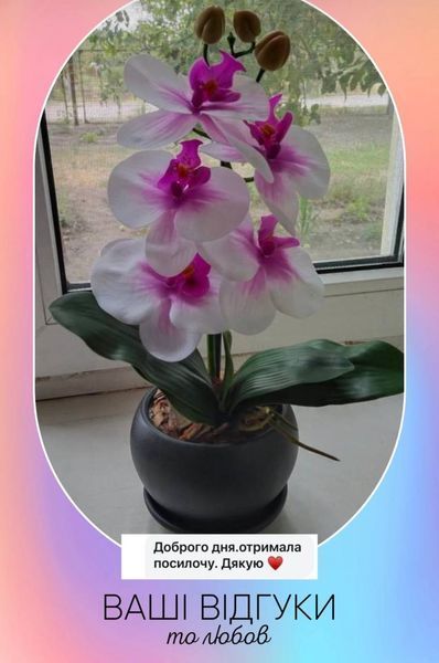 32 фото